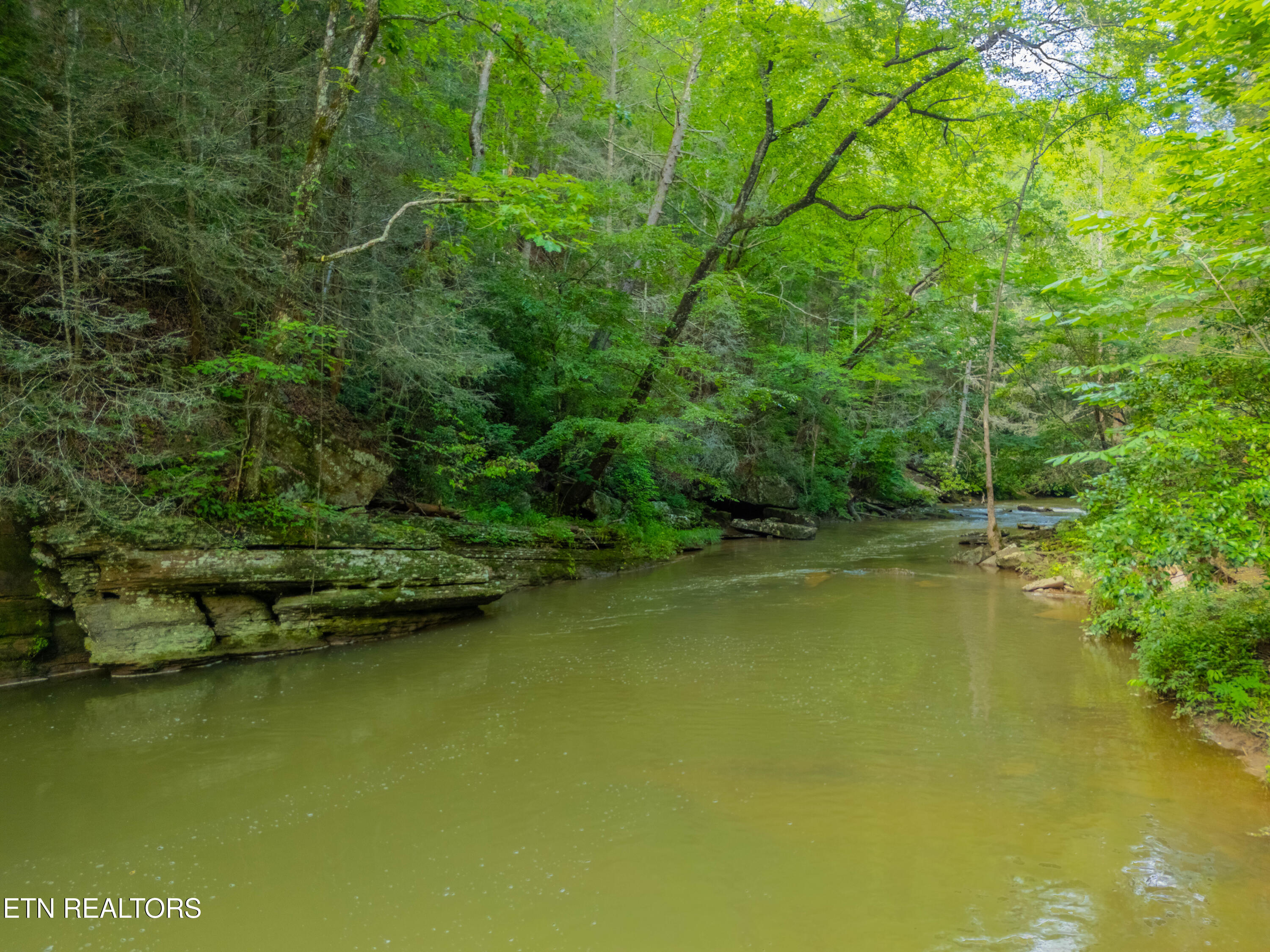 118 Authorn Sheldon Road Harriman, TN 37748 - Photo 49 of 58 DJI_20250617162831_0100_D-HDR