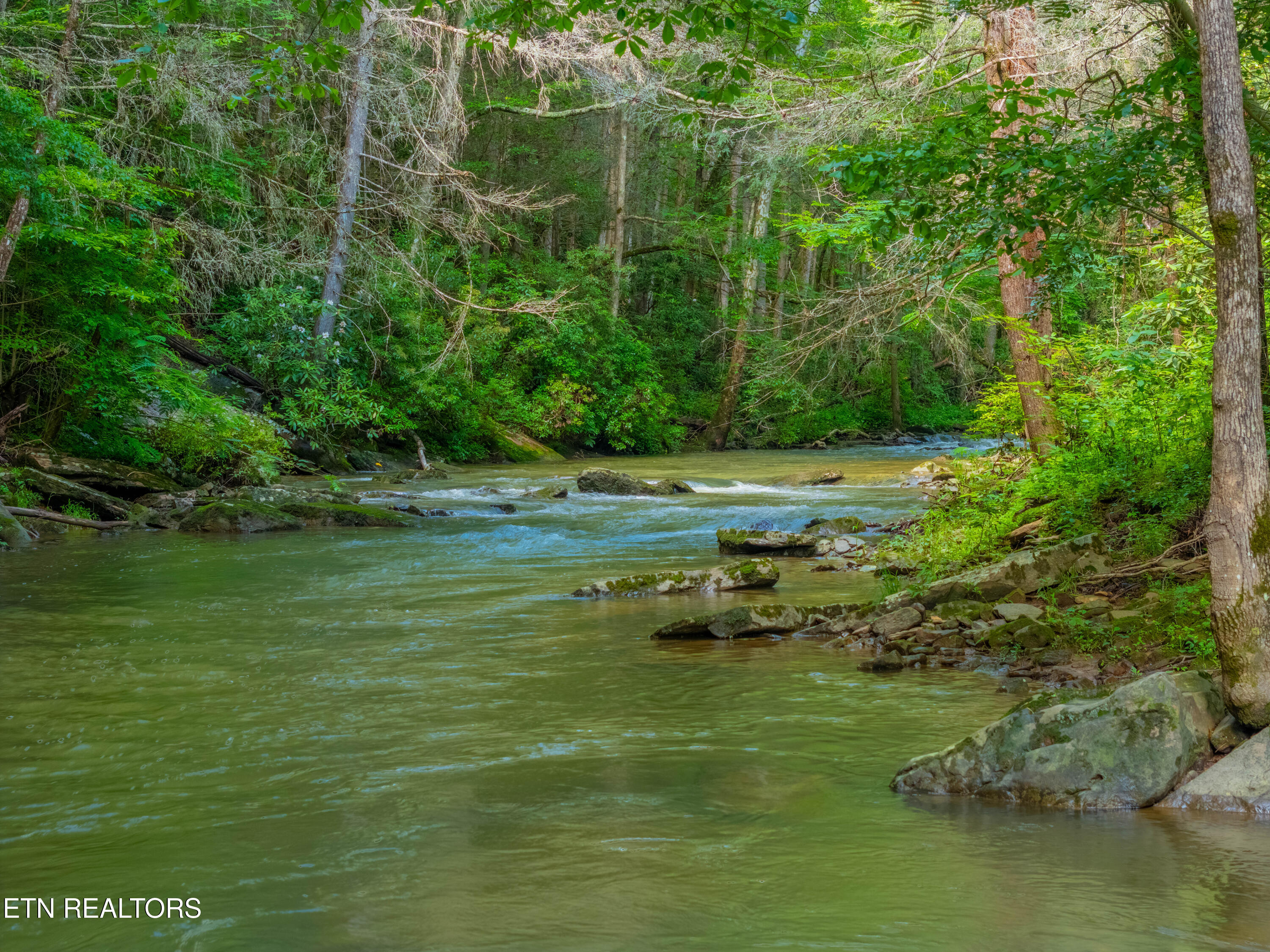 118 Authorn Sheldon Road Harriman, TN 37748 - Photo 51 of 58 DJI_20250617162953_0110_D-HDR