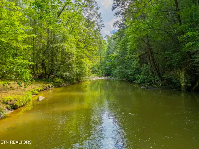 $594,900 | 118 Authorn Sheldon Road, Harriman, TN 37748