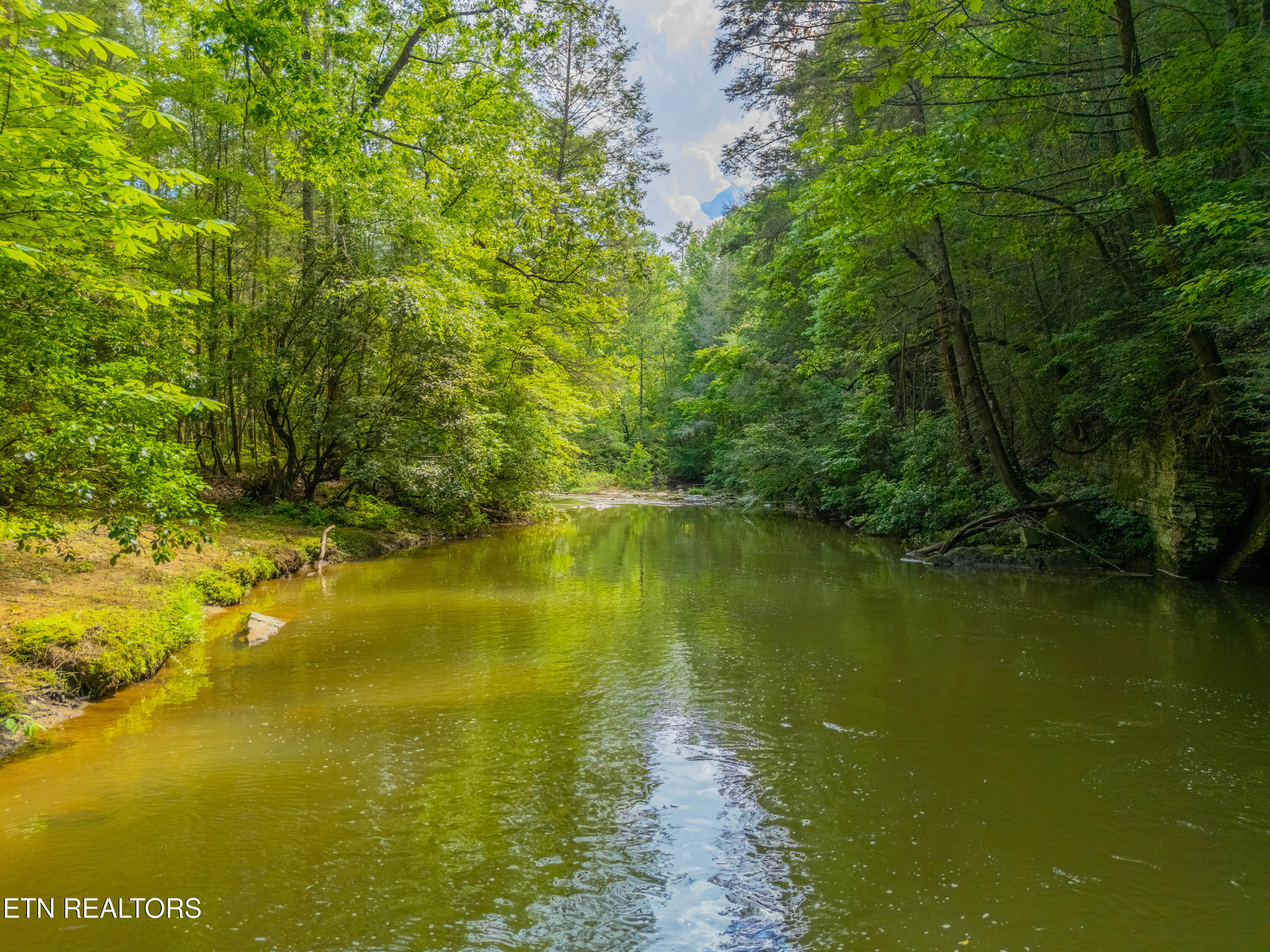 118 Authorn Sheldon Road Harriman, TN 37748 - Photo 52 of 58 DJI_20250617163024_0115_D-HDR