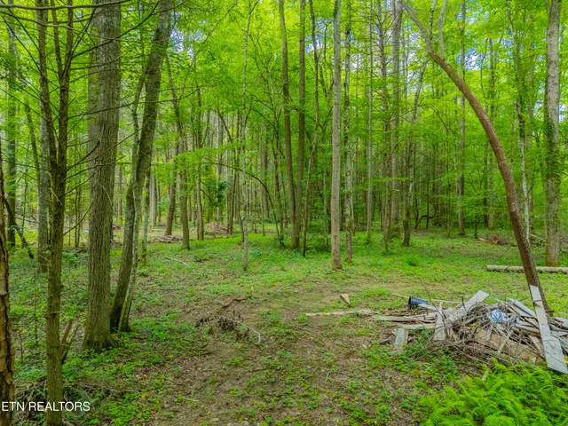 $594,900 | 118 Authorn Sheldon Road, Harriman, TN 37748