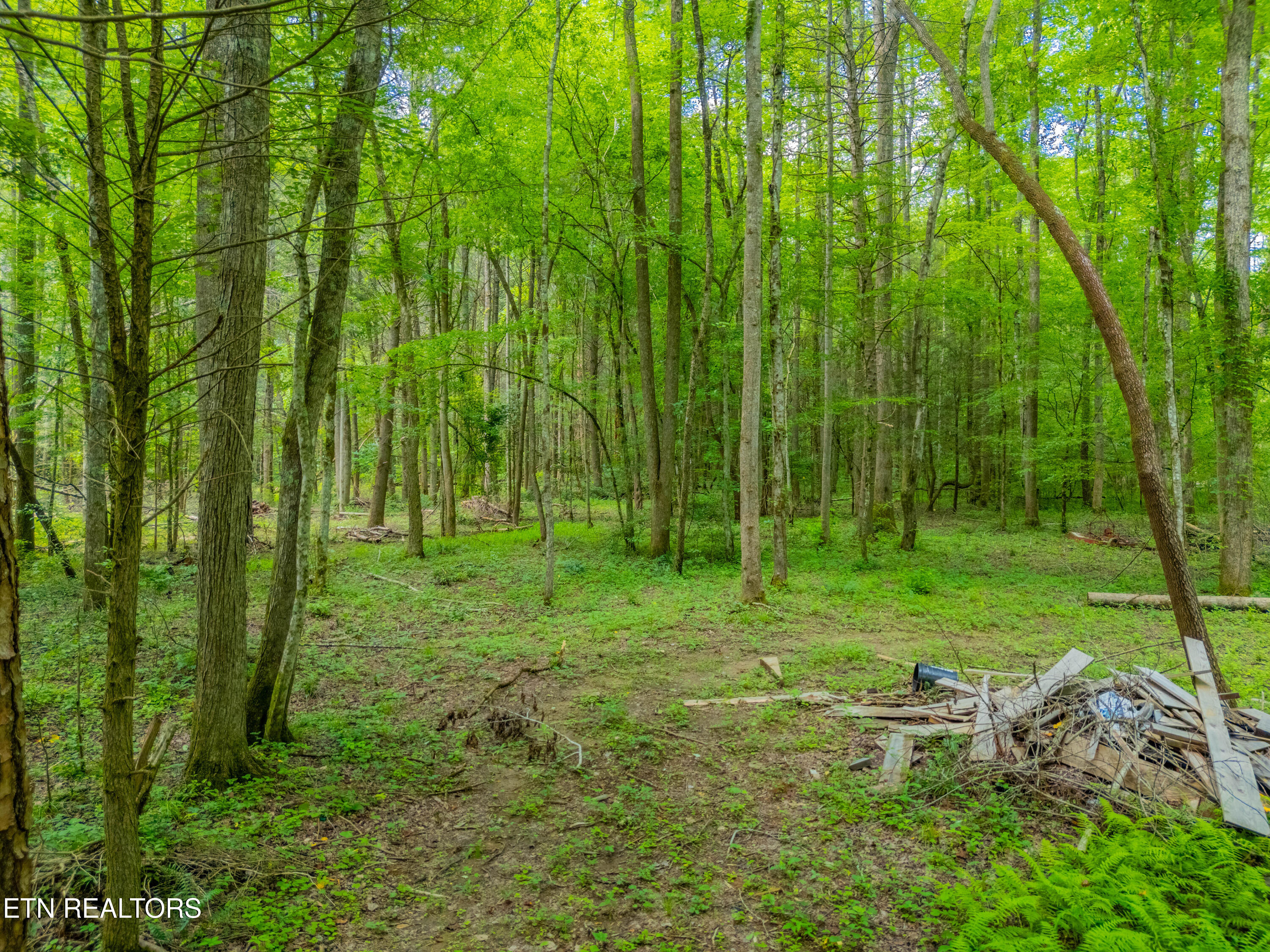 118 Authorn Sheldon Road Harriman, TN 37748 - Photo 55 of 58 DJI_20250617163638_0130_D-HDR