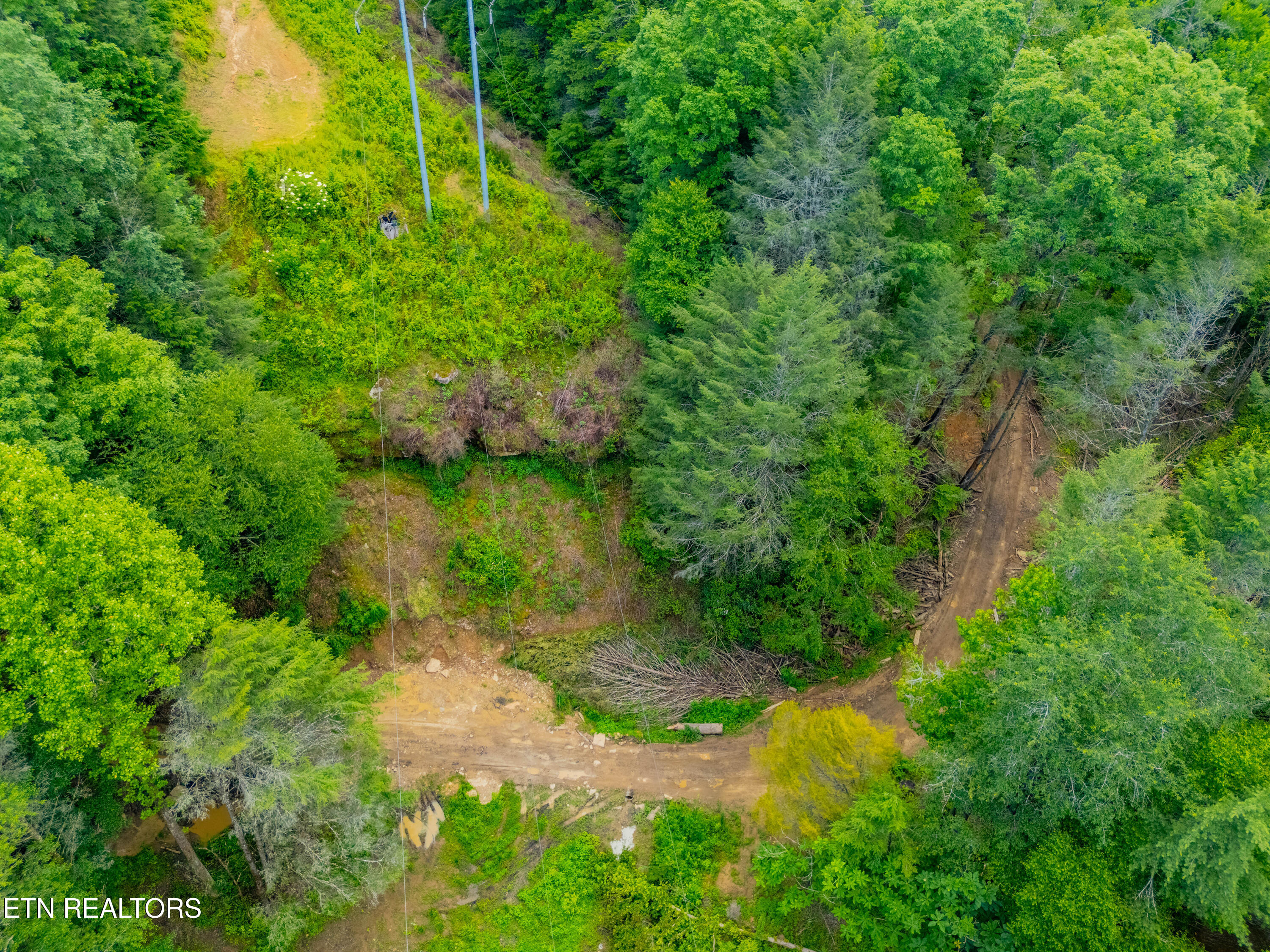 118 Authorn Sheldon Road Harriman, TN 37748 - Photo 57 of 58 DJI_20250617164503_0140_D-HDR