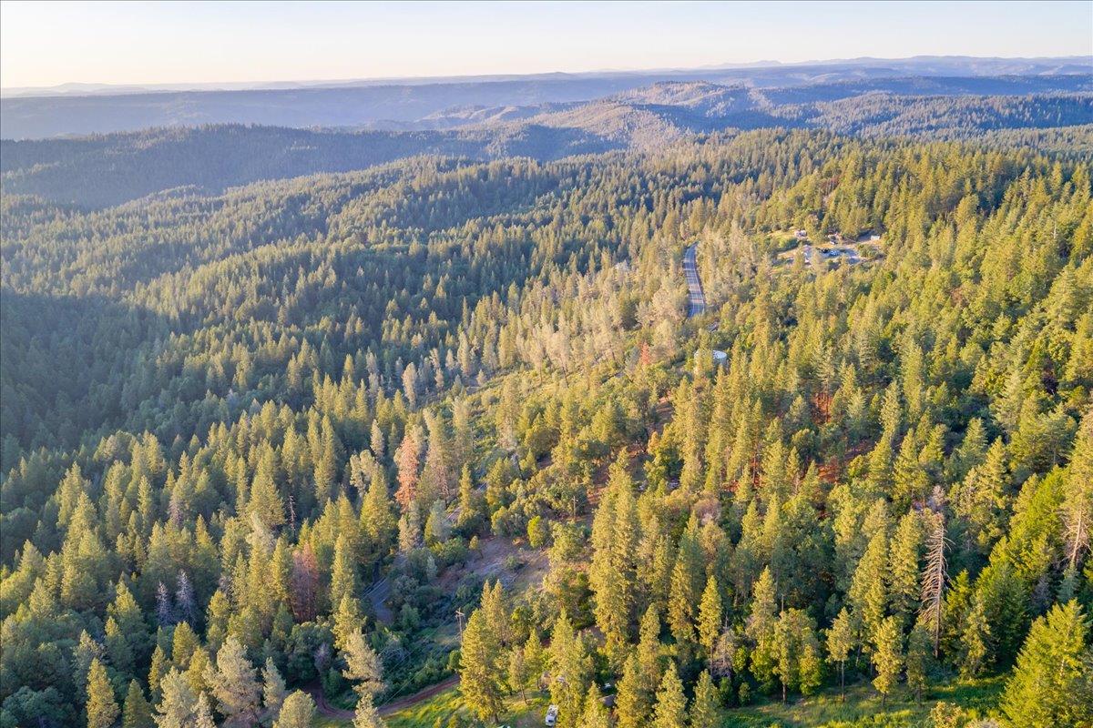6880 Wentworth Springs Road Georgetown, CA 95634 - Photo 19 of 22 a view of a with lush green forest