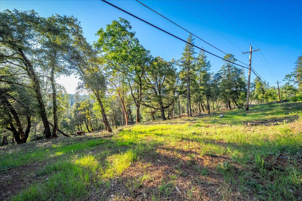 6880 Wentworth Springs Road Georgetown, CA 95634 - Photo 3 of 22 a view of yard with green space