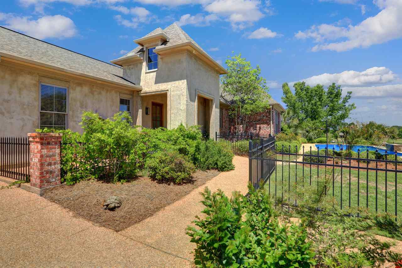 133 Burne Run Madison, MS 39110 - Photo 4 of 50 Photo 4