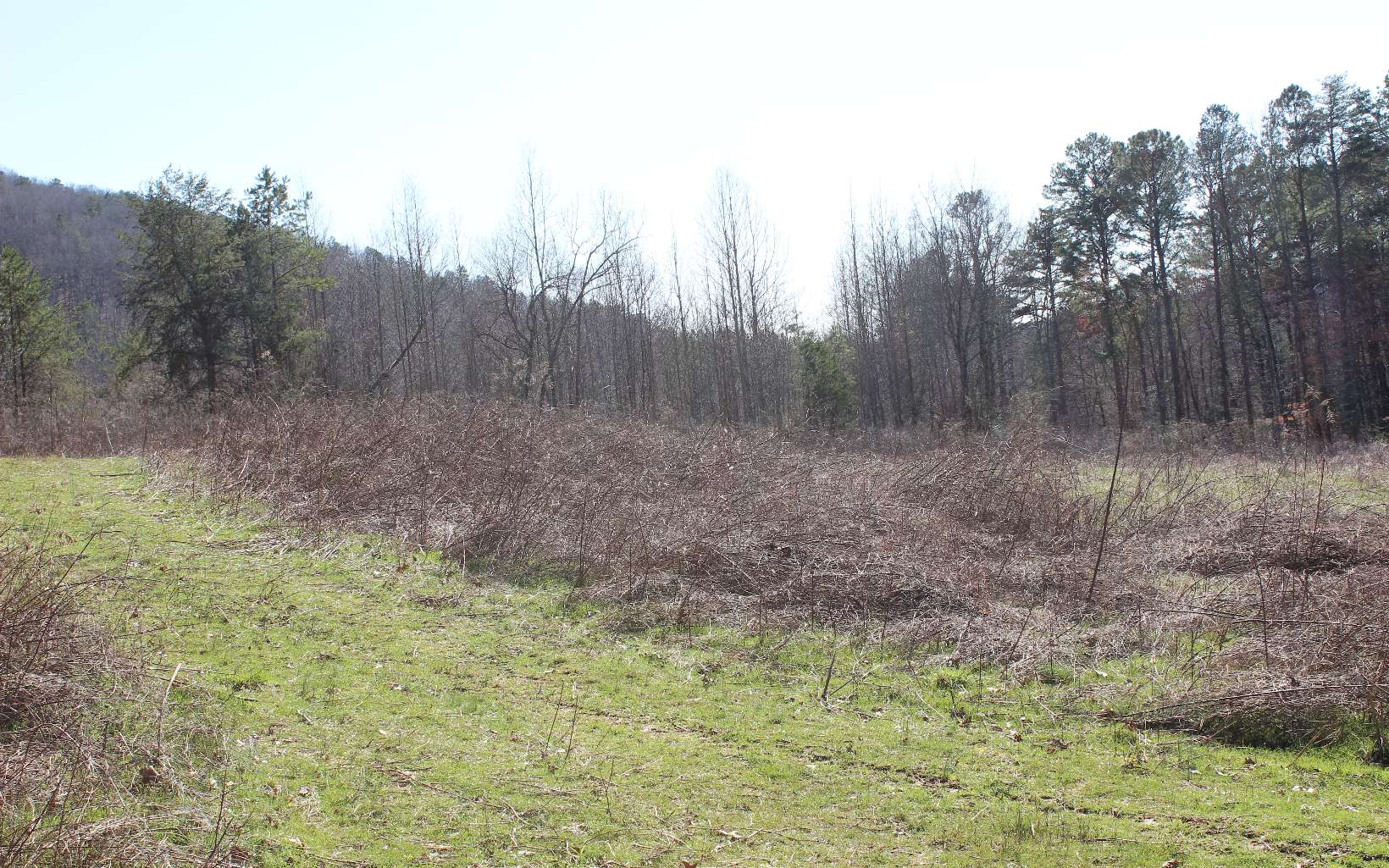 17-ac Talona Road Ellijay, GA 30536 - Photo 1 of 1 Main View