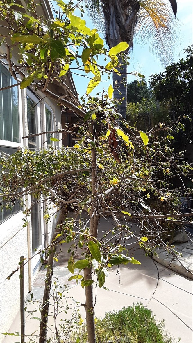 4443 Cherry Grove Riverside, CA 92501 - Photo 25 of 41