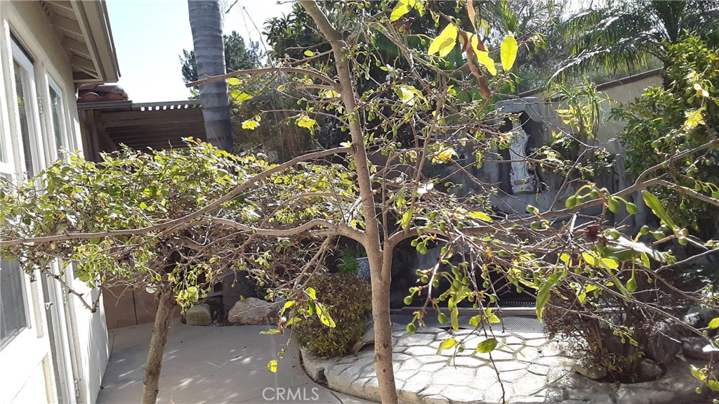 4443 Cherry Grove Riverside, CA 92501 - Photo 6 of 41