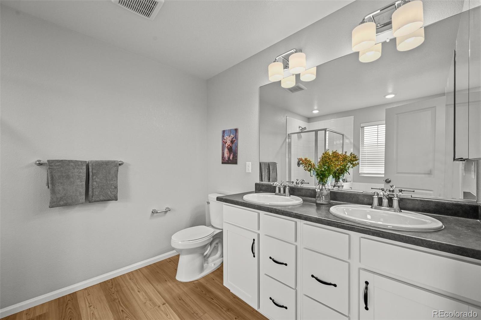 6374 North Fulton Street Denver, CO 80238 - Photo 23 of 49 a bathroom with a granite countertop sink a toilet and a mirror