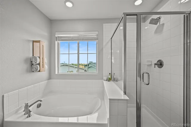 a bathroom with a bath tub and a shower