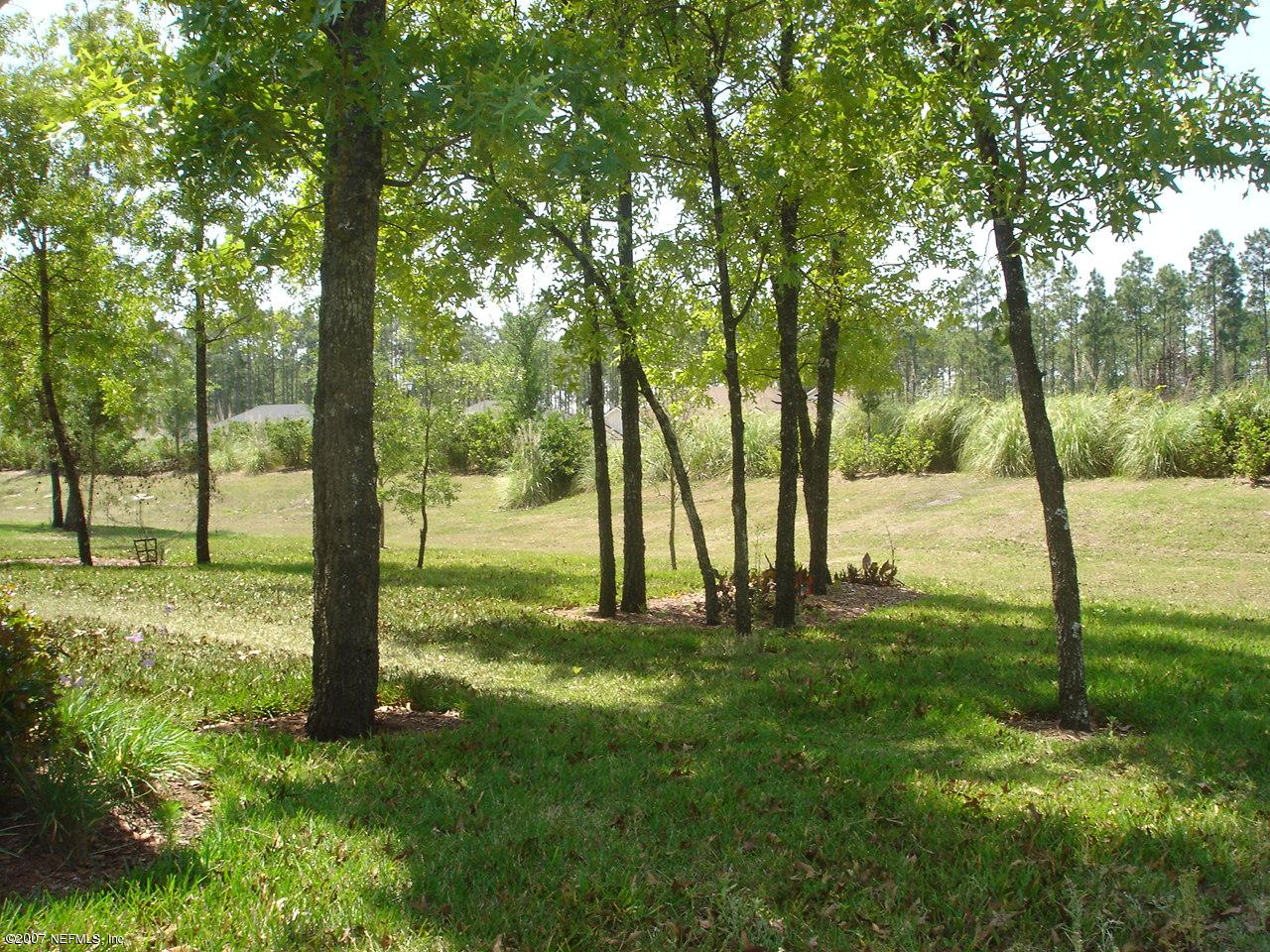 419 North Landguard Road St. Augustine, FL 32092 - Photo 2 of 10 back yard