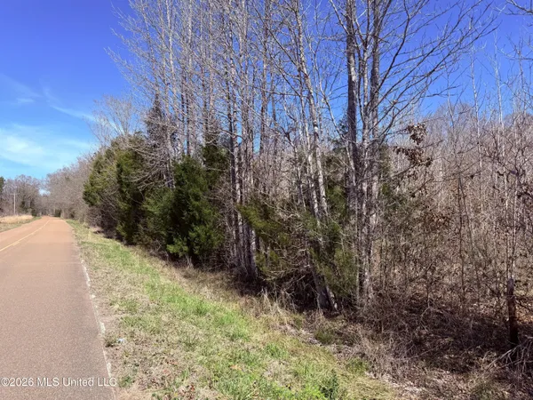 $35,000 | 0 Morrison Road, Utica, MS 39175