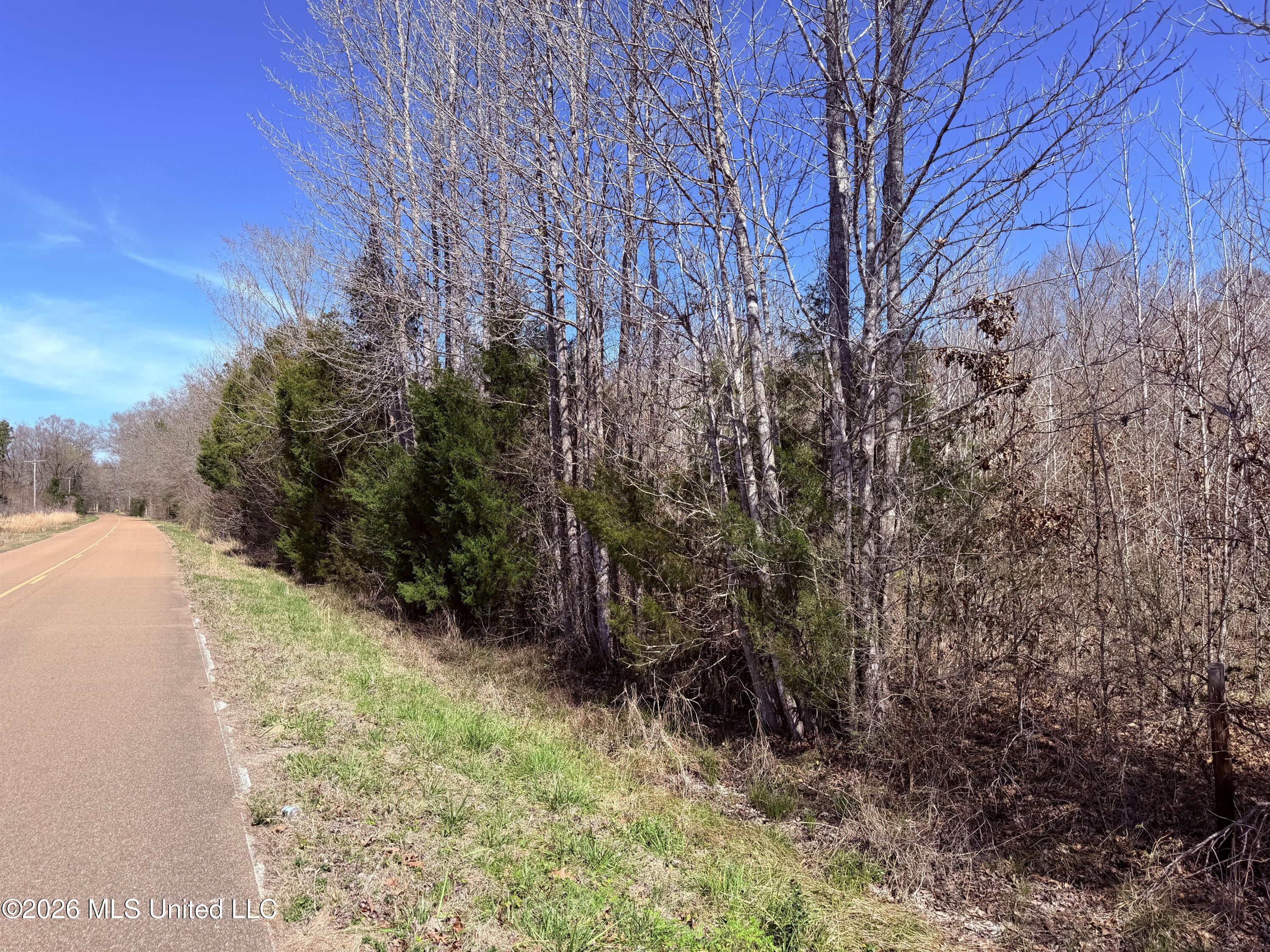 0 Morrison Road Utica, MS 39175 - Photo 13 of 16 12