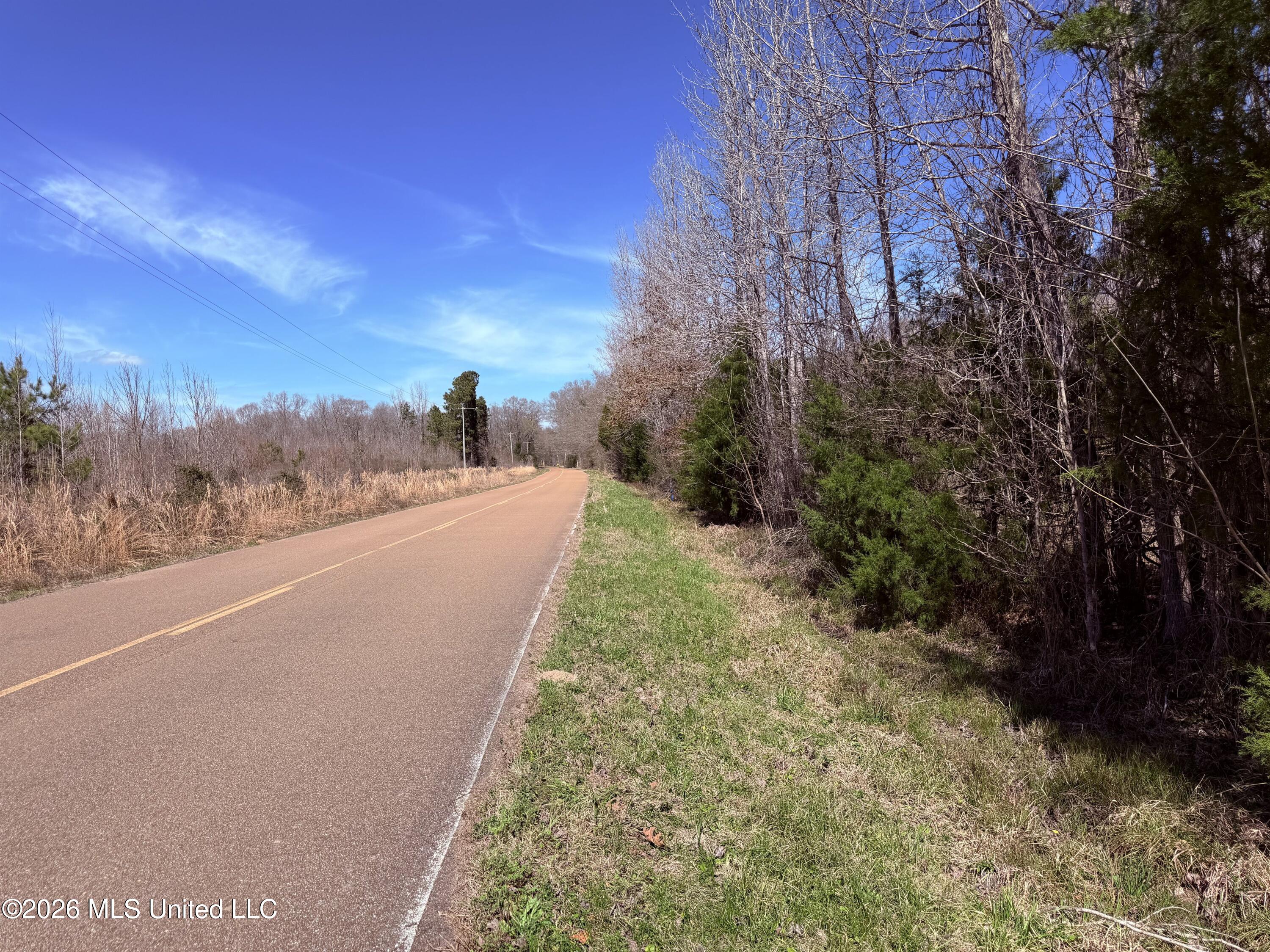 0 Morrison Road Utica, MS 39175 - Photo 3 of 16 3