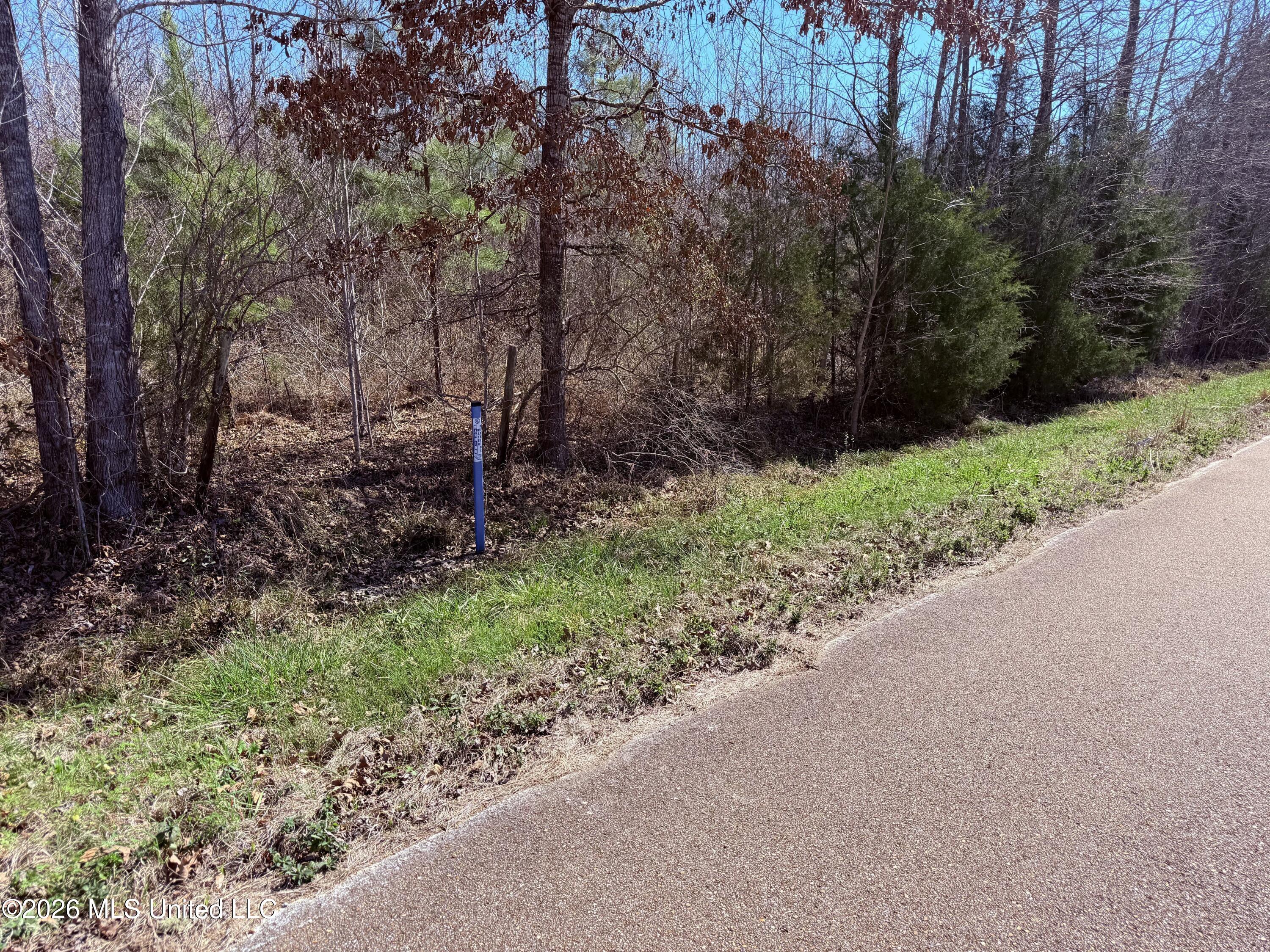 0 Morrison Road Utica, MS 39175 - Photo 4 of 16 4