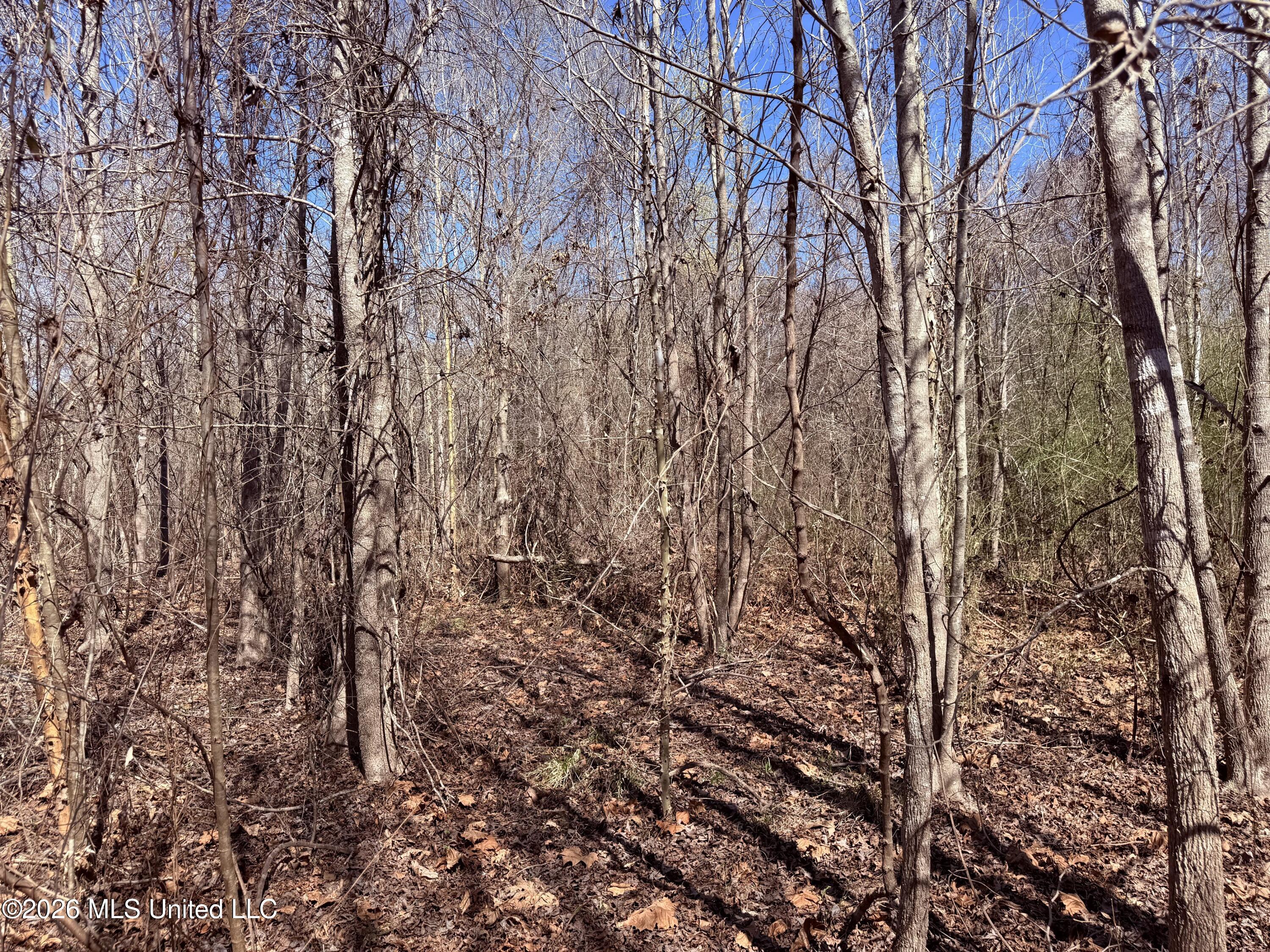 0 Morrison Road Utica, MS 39175 - Photo 8 of 16 7.