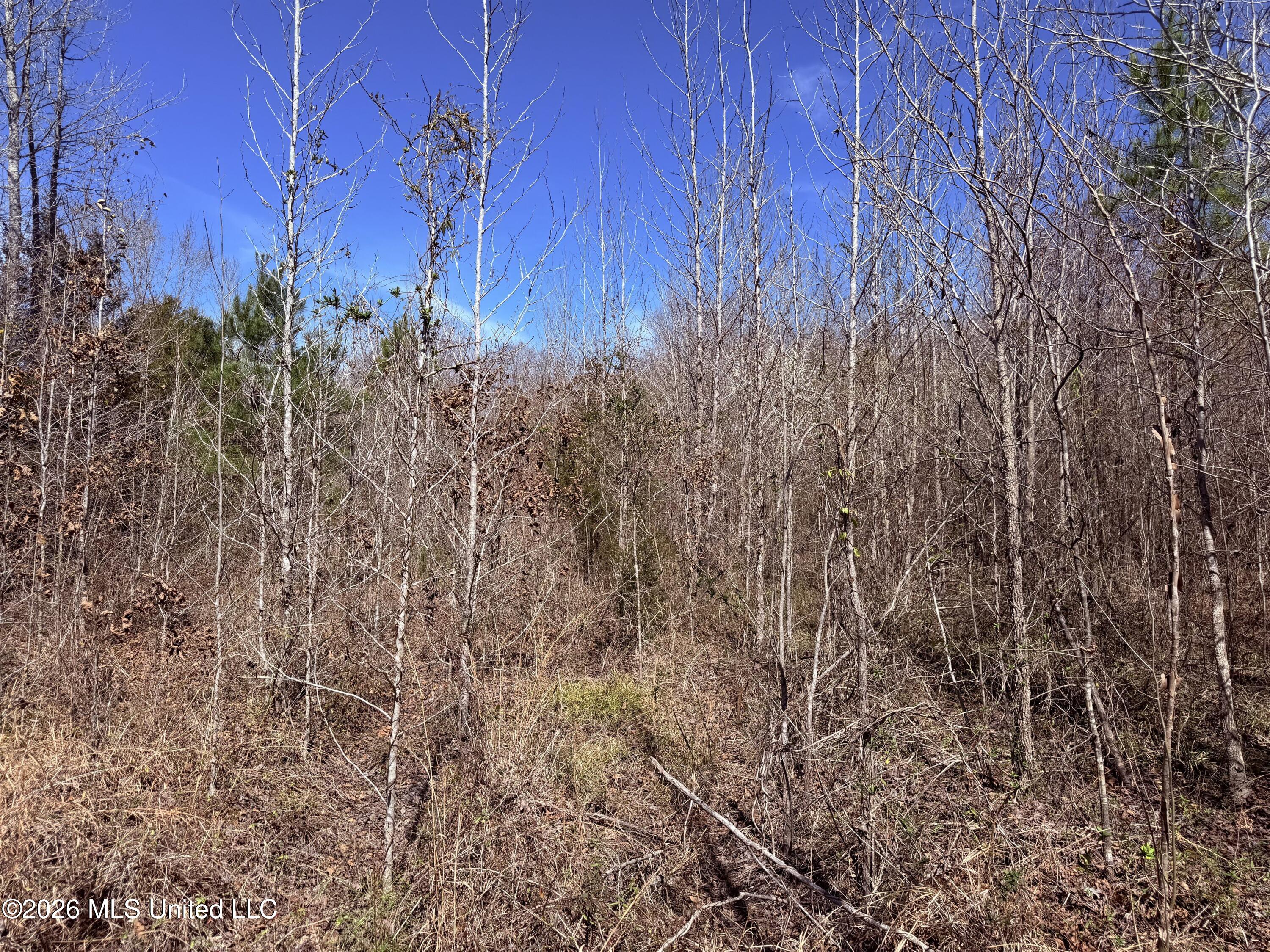 0 Morrison Road Utica, MS 39175 - Photo 10 of 16 8