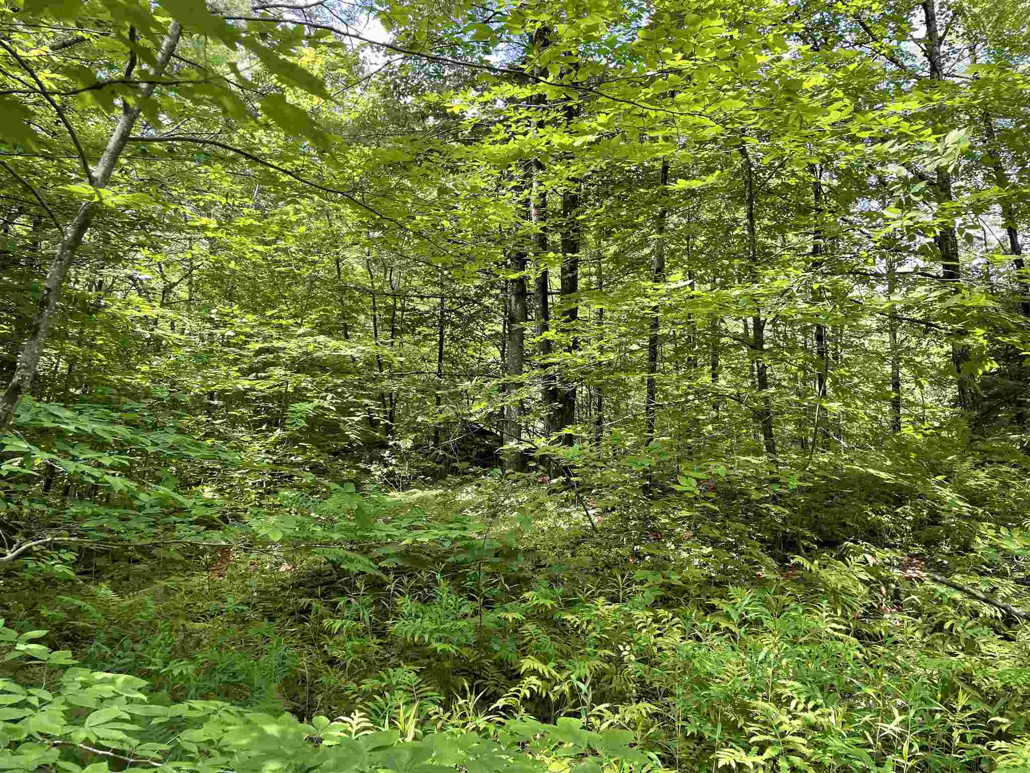 Lot 4 Vt Rt 30, Unit 4 Jamaica, VT 05343 - Photo 1 of 5 Gallery Image 1