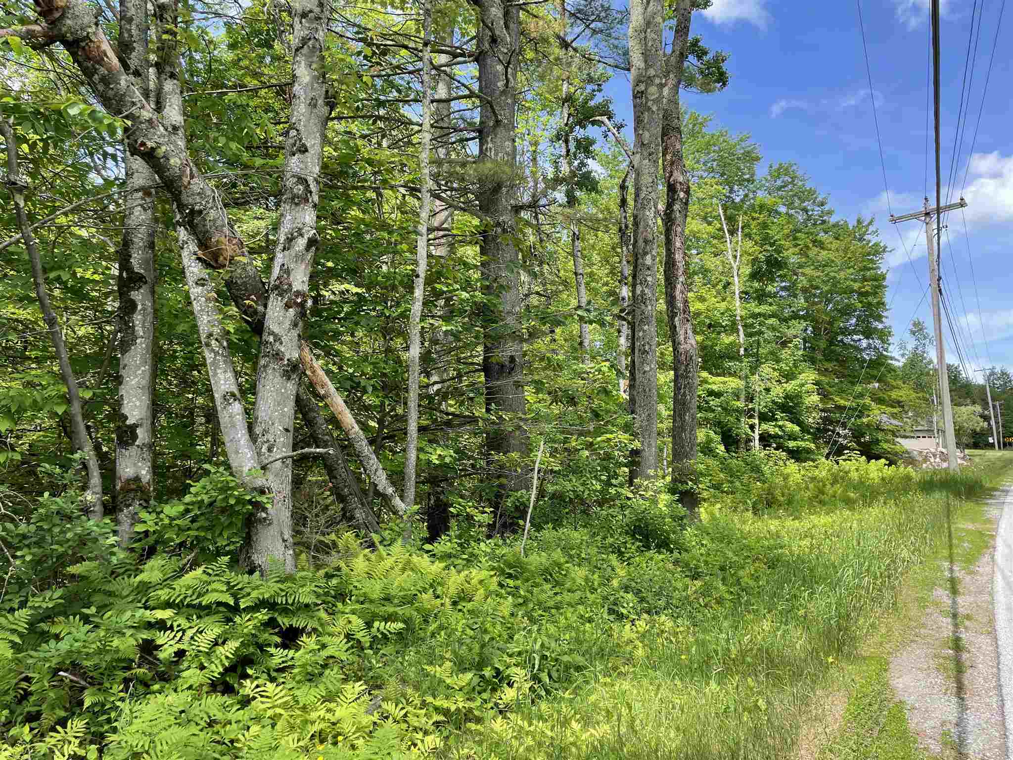 Lot 4 Vt Rt 30, Unit 4 Jamaica, VT 05343 - Photo 2 of 5 Gallery Image 2