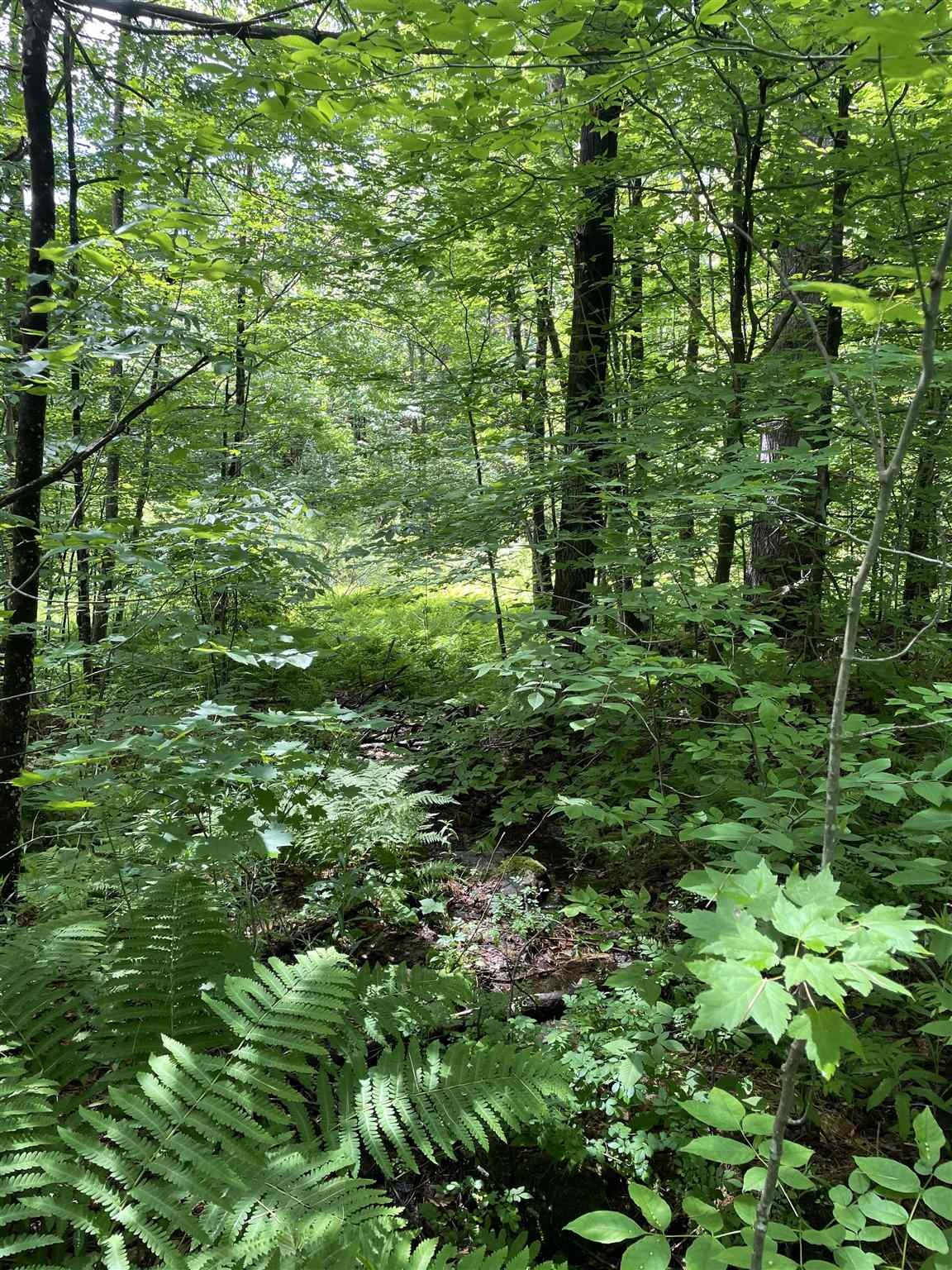 Lot 4 Vt Rt 30, Unit 4 Jamaica, VT 05343 - Photo 4 of 5 Gallery Image 4