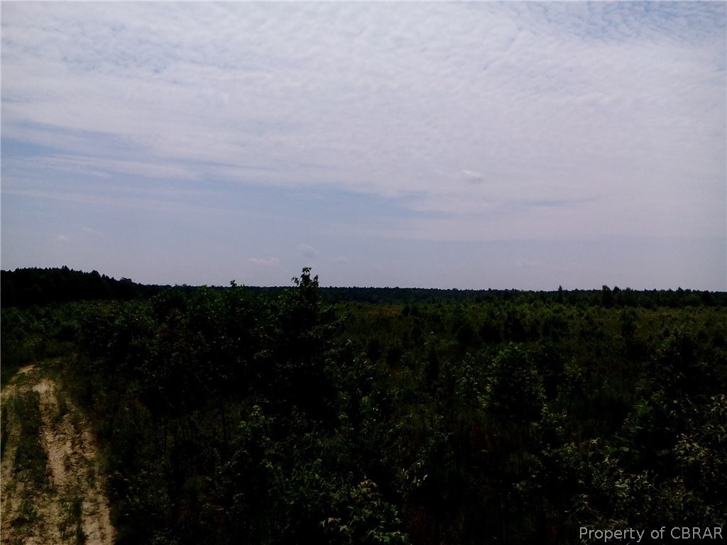 275-ac Spring Garden Road Center Cross, VA 22437 - Photo 3 of 11 Gallery Image 3