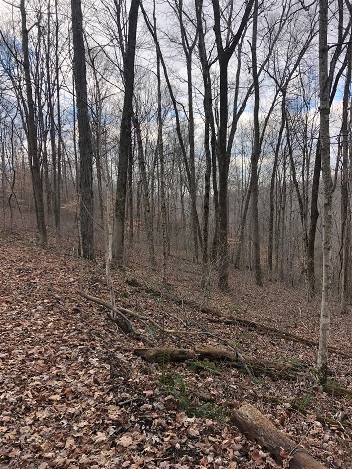 Ac Richardson Spur Road Summer Shade, KY 42166 - Photo 1 of 1 Gallery Image 1