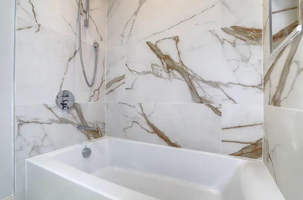 a bathroom with a bathtub and a shower