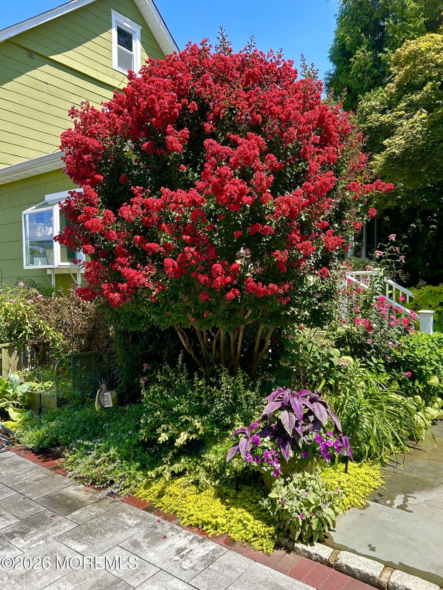 69 Foster Street Red Bank, NJ 07701 - Photo 55 of 56 IMG_3183