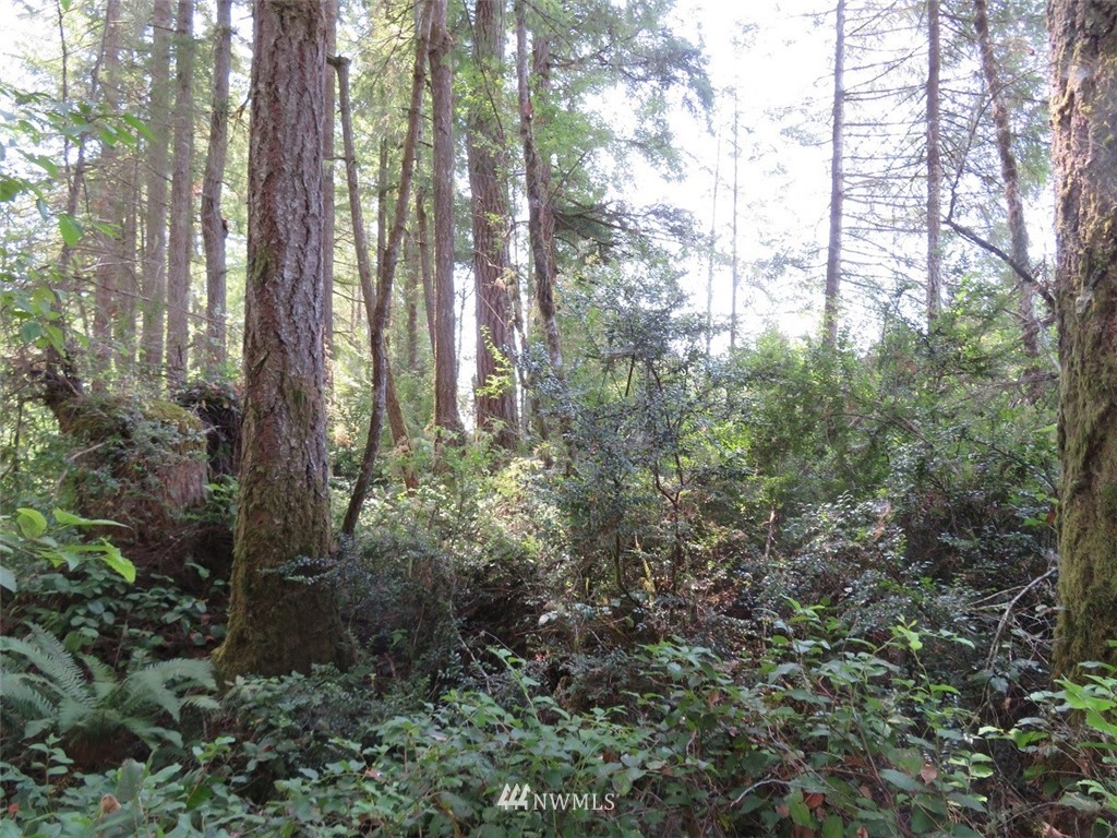 29 Rasor Place Belfair, WA 98528 - Photo 24 of 25 Gallery Image 24