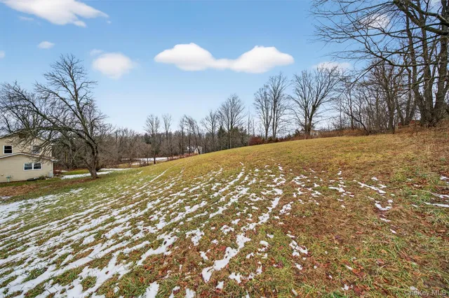 a view of a yard with trees