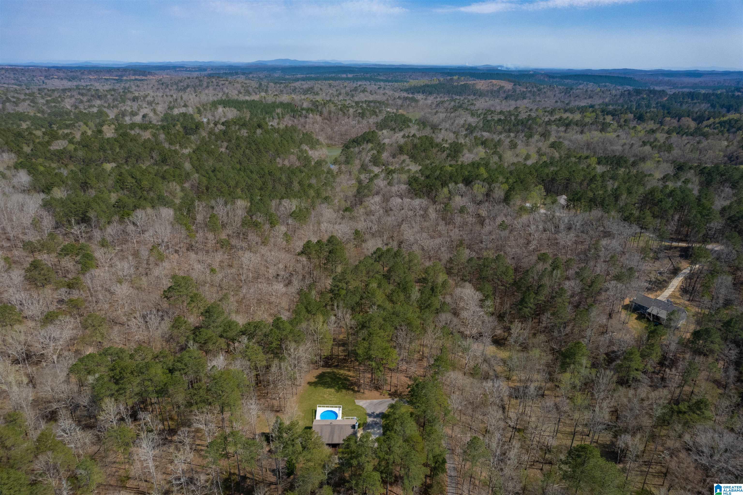 184 Sequoyah Road Pell City, AL 35128 - Photo 44 of 46