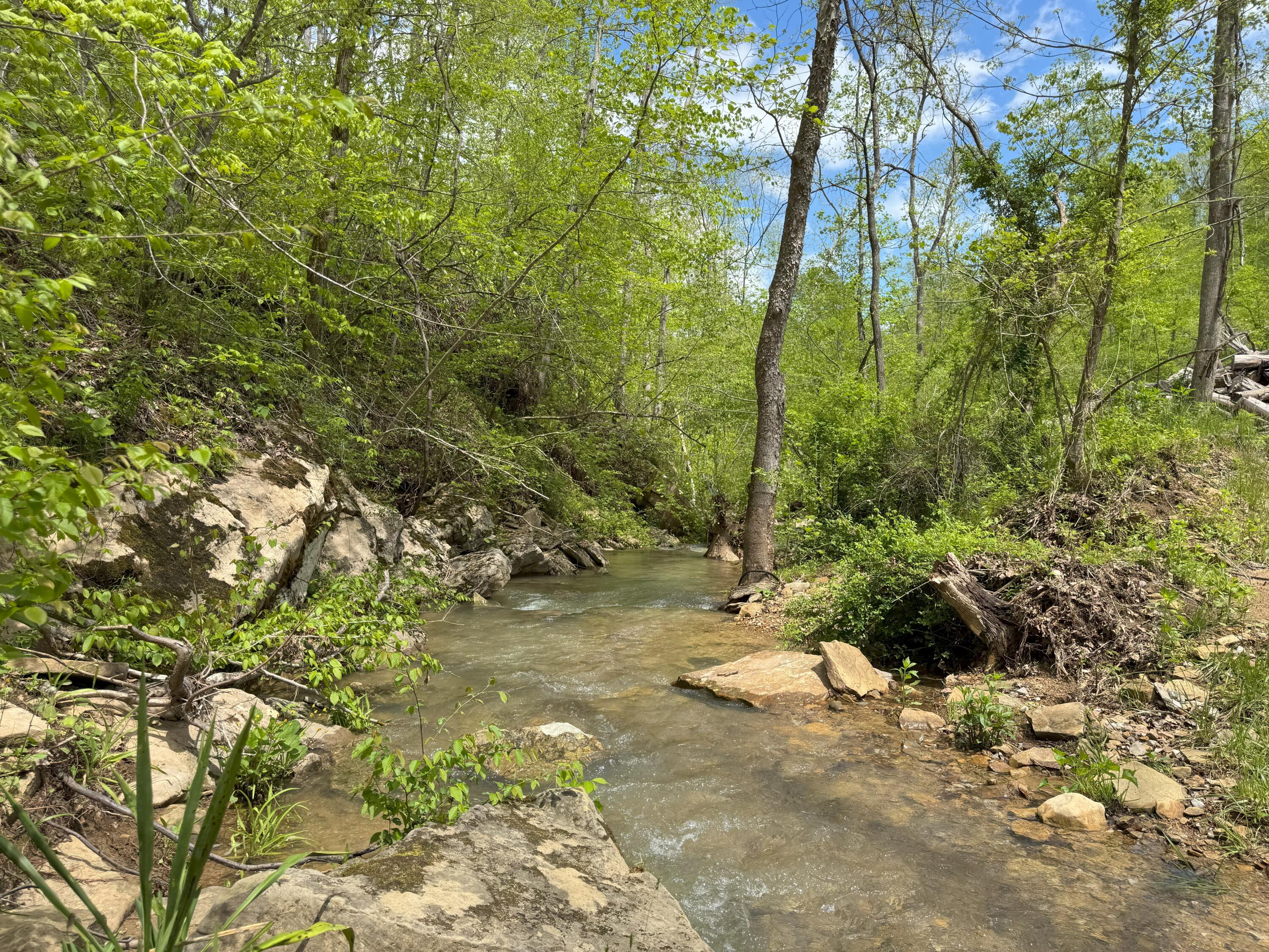 9999 Wind Cave Road McKee, KY 40447 - Photo 6 of 27 Creek