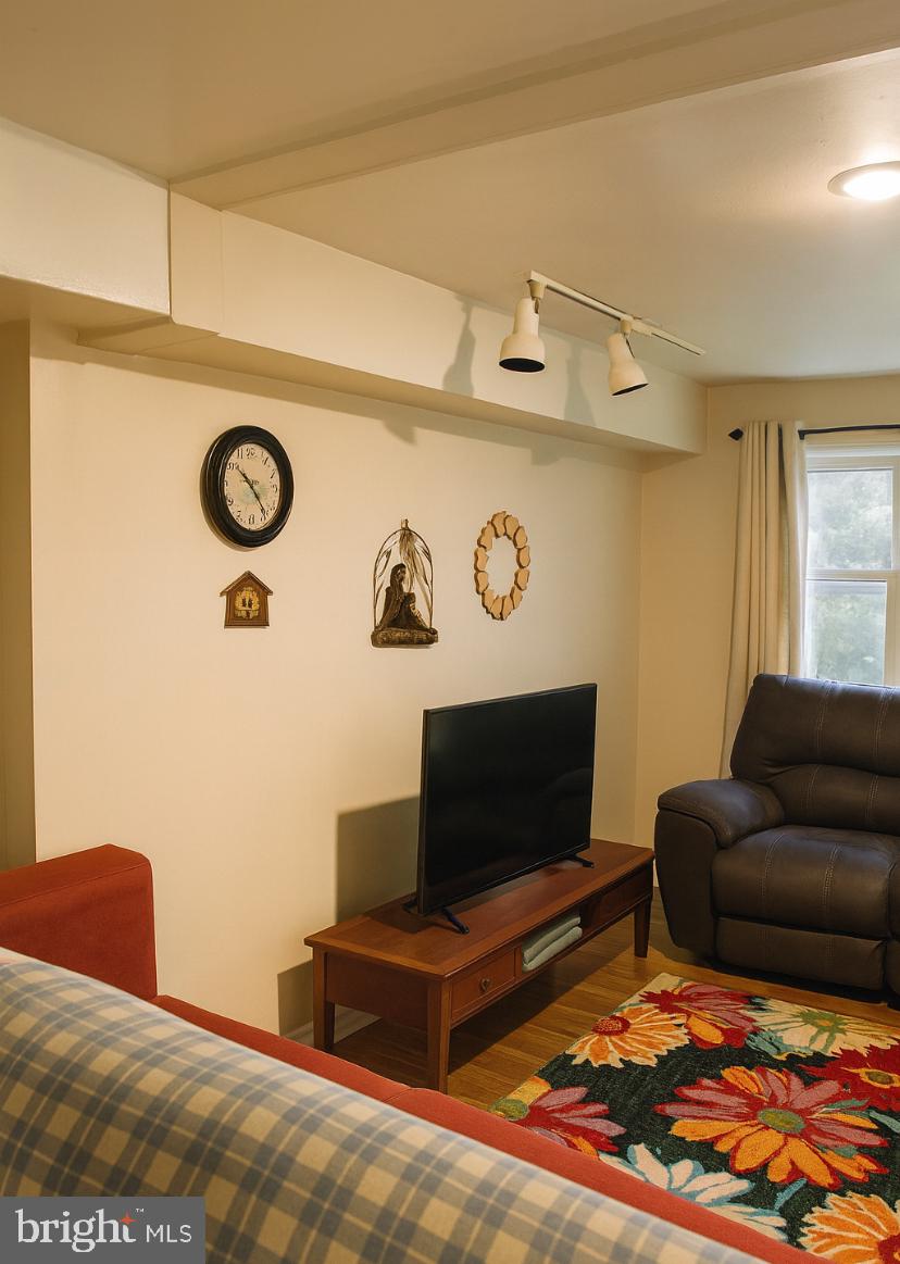 172 Bridge Street Drexel Hill, PA 19026 - Photo 15 of 42 Basement apartment living room