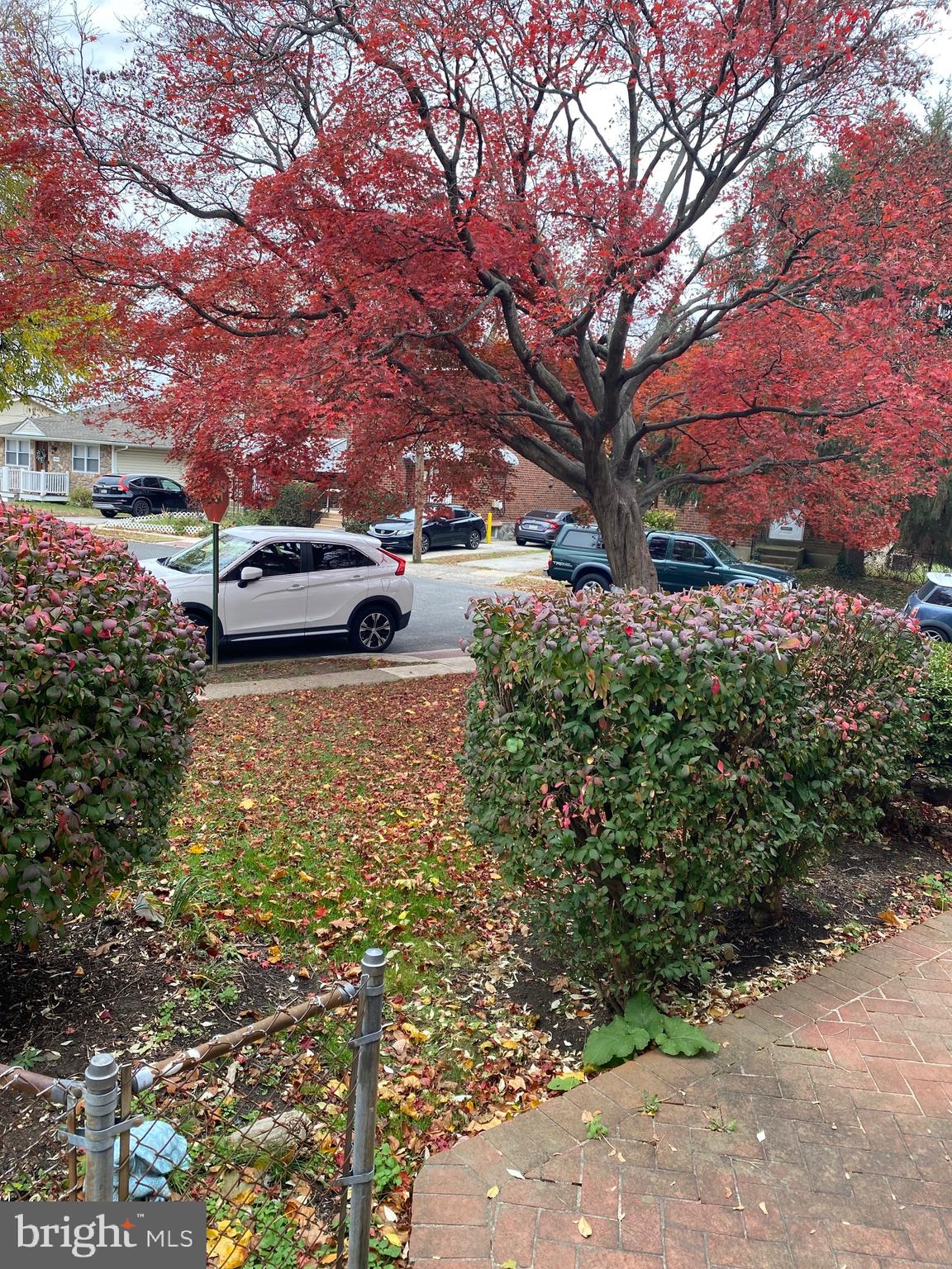172 Bridge Street Drexel Hill, PA 19026 - Photo 42 of 42 Street View from property