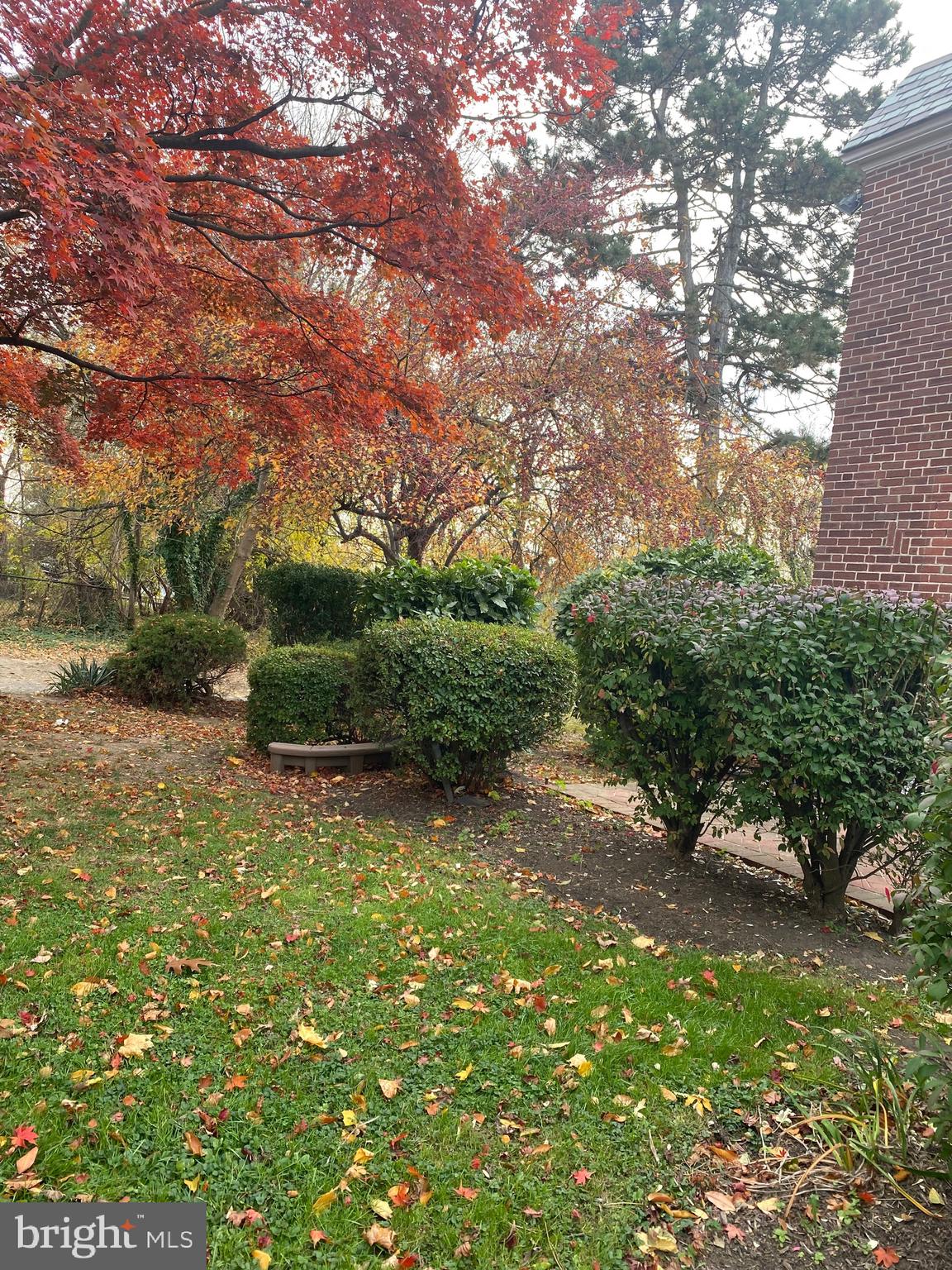 172 Bridge Street Drexel Hill, PA 19026 - Photo 5 of 42 Landscaped yard