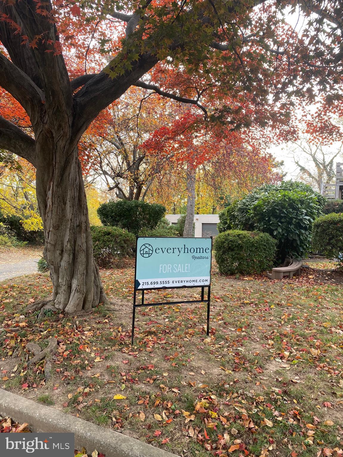 172 Bridge Street Drexel Hill, PA 19026 - Photo 6 of 42 Front