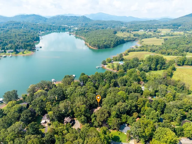 an aerial view of green landscape with trees houses and lake view