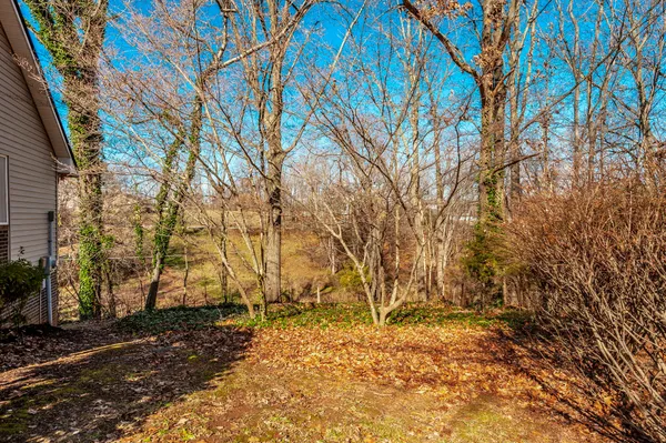 a view of a yard with wooden fence