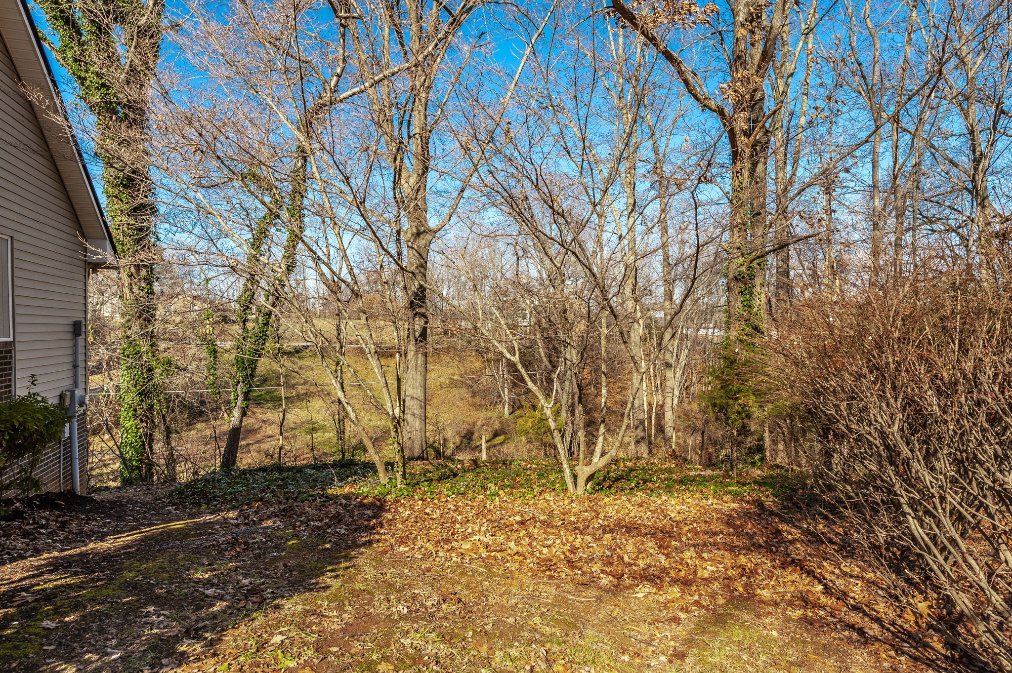 203 Mosley Drive Springfield, TN 37172 - Photo 49 of 51 Gallery Image 49