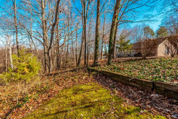 a backyard of a house with lots of green space