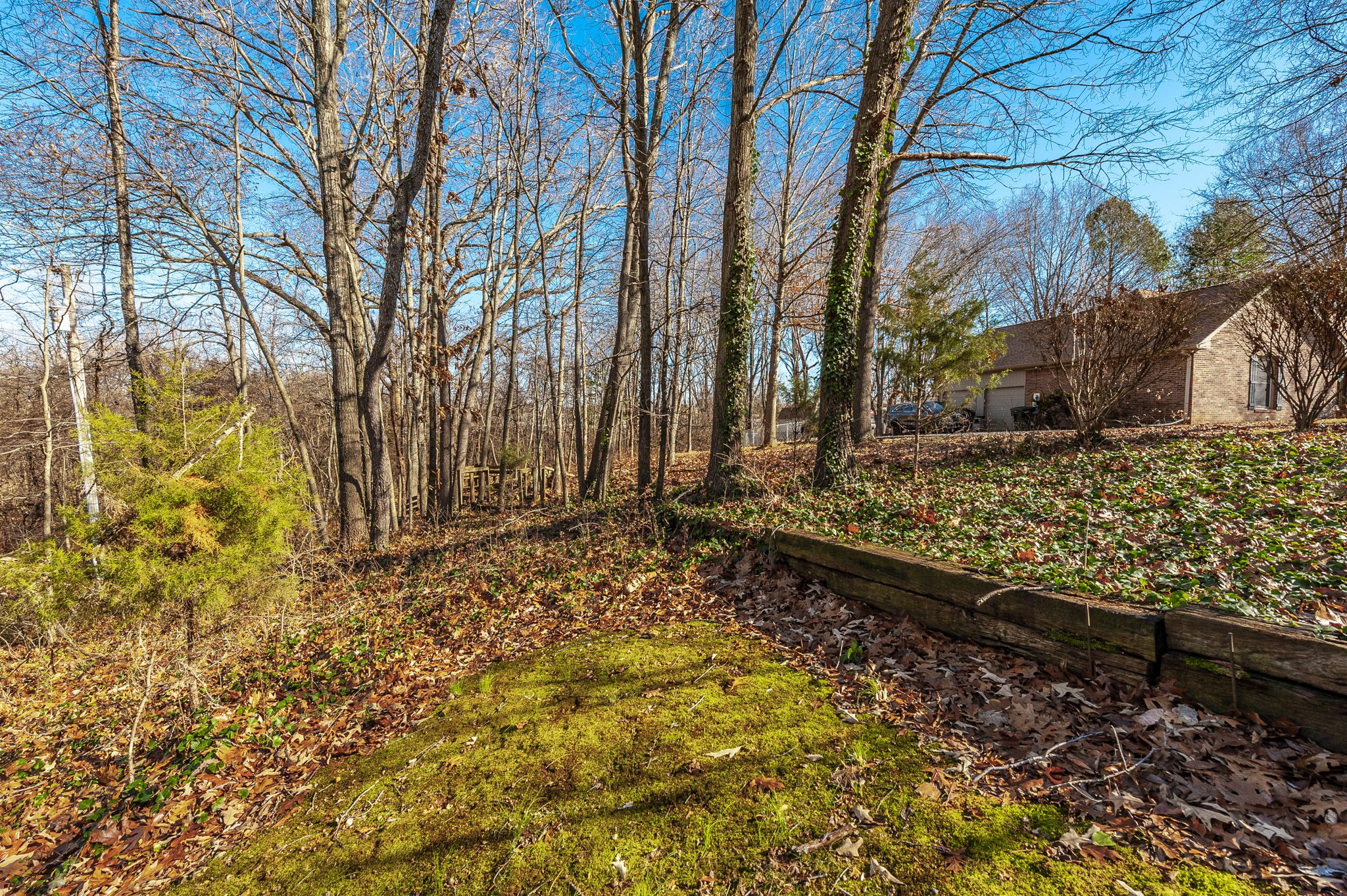 203 Mosley Drive Springfield, TN 37172 - Photo 50 of 51 Gallery Image 50