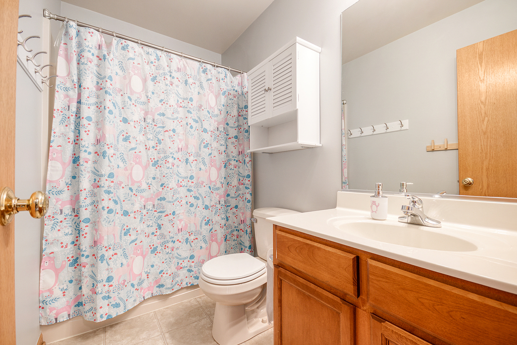 1070 Clover Drive Minooka, IL 60447 - Photo 12 of 15 a bathroom with a sink a toilet and a mirror