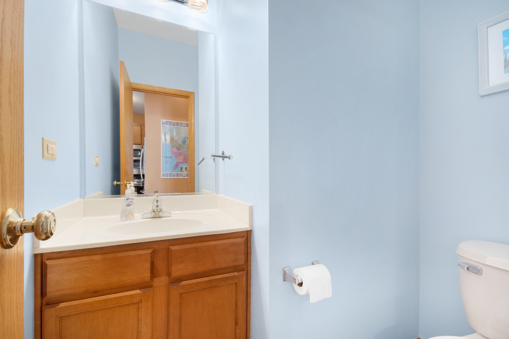 1070 Clover Drive Minooka, IL 60447 - Photo 7 of 15 a bathroom with a sink vanity and a mirror