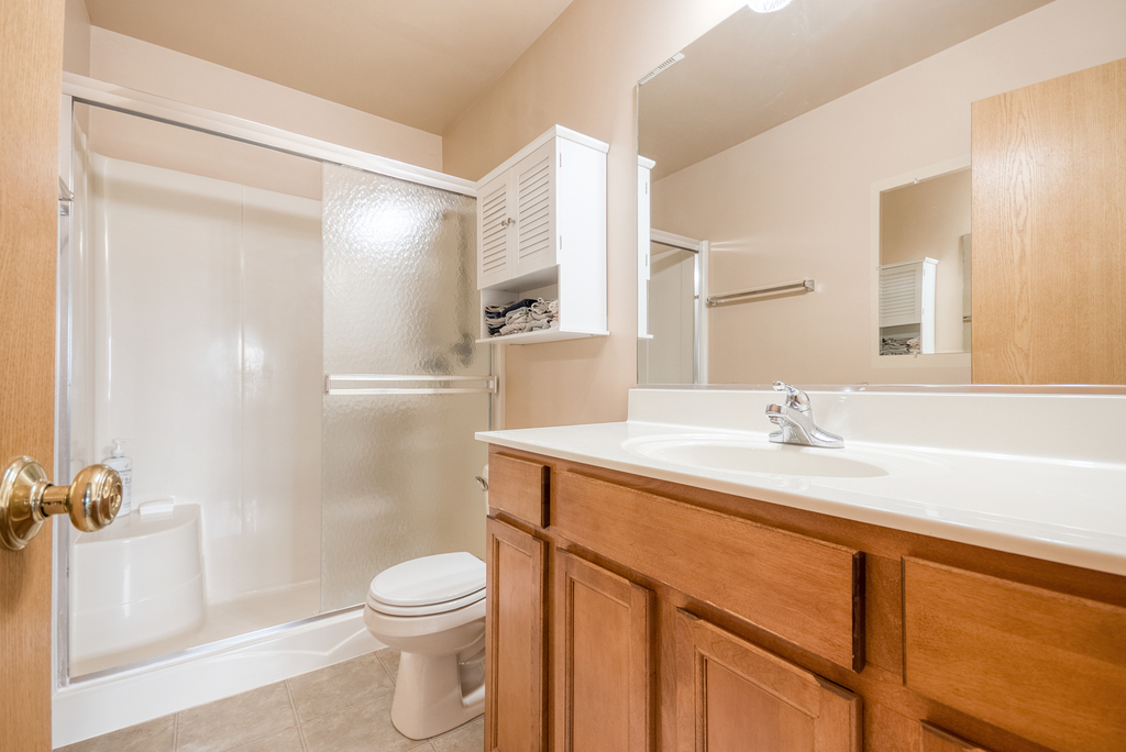 1070 Clover Drive Minooka, IL 60447 - Photo 9 of 15 a bathroom with a sink a toilet and shower