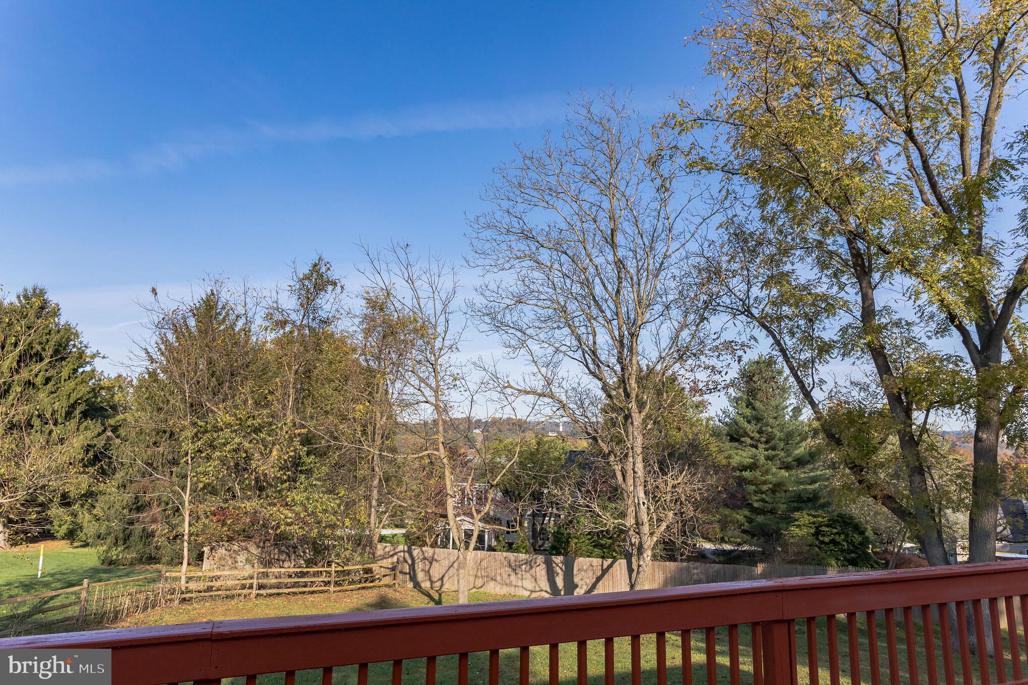 460 Park Road Downingtown, PA 19335 - Photo 27 of 39 Back Yard View 1