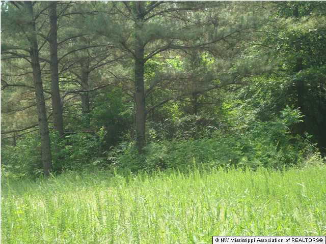 21 Rowell Road Coldwater, MS 38618 - Photo 1 of 2 Primary Photo
