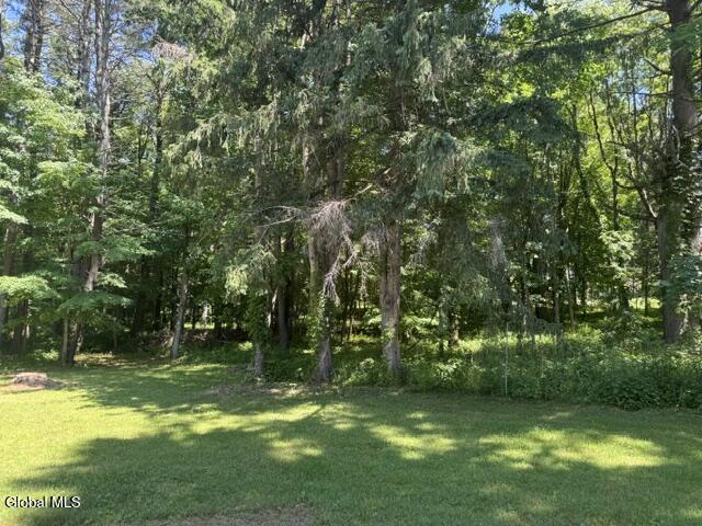 294 Thais Road Sand Lake, NY 12018 - Photo 8 of 28 IMG_2889