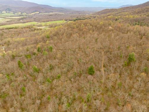 0 Adventure Mountain Road Montvale, VA 24122 - Photo 4 of 8 3m0n15hoym
