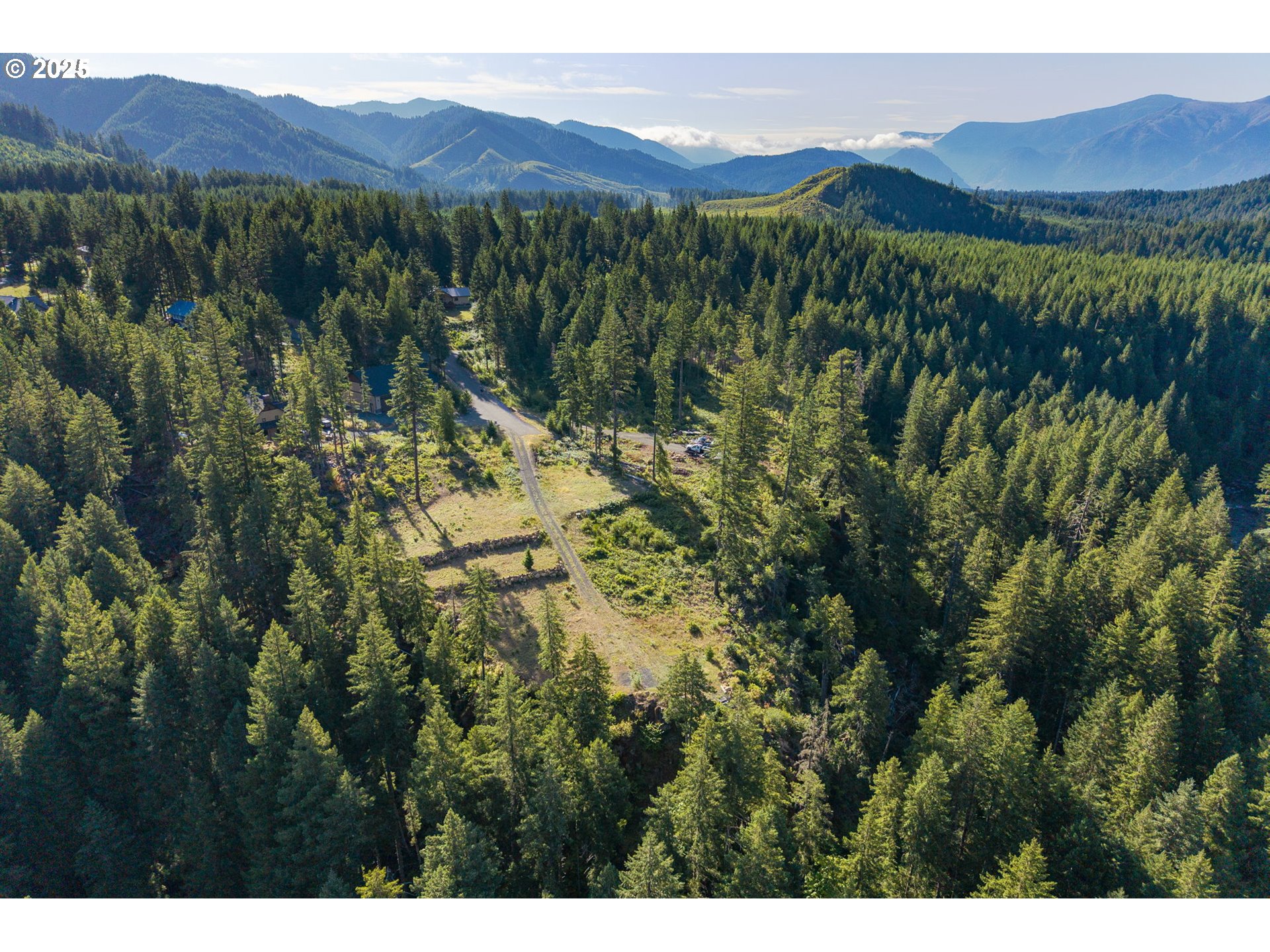 Boulder Ridge Carson, WA 98610 - Photo 11 of 26 a view of a lush green hillside and a mountain